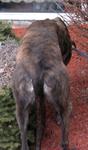 grant_IMG_3879