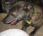 grant_IMG_3888