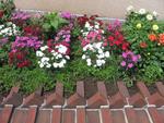 jimthorpe_IMG_4659
