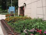 jimthorpe_IMG_4660