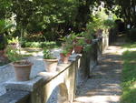 tuscany2007_IMG_1778