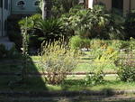 tuscany2007_IMG_1781