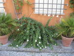 tuscany2007_IMG_1782