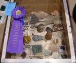 pgfair2009_IMG_4938