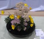 pgfair2009_IMG_4955