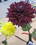pgfair2009_IMG_4958