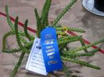 pgfair2009_IMG_4963