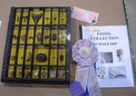pgfair2009_IMG_4966