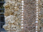 tuscany2007_IMG_1786