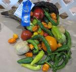 pgfair2009_IMG_4982