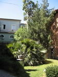 tuscany2007_IMG_1787