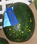 pgfair2009_IMG_5004