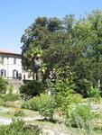 tuscany2007_IMG_1788
