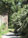 tuscany2007_IMG_1812