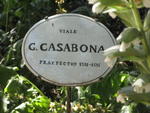 tuscany2007_IMG_1817