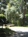 tuscany2007_IMG_1821