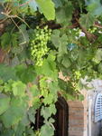 Fattoria San Donato (Chianti I)