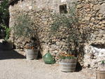 tuscany2007_IMG_1452