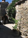 tuscany2007_IMG_1453