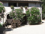 tuscany2007_IMG_1454