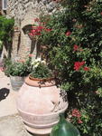 tuscany2007_IMG_1458