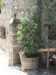 tuscany2007_IMG_1463