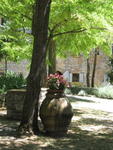tuscany2007_IMG_1465