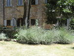 tuscany2007_IMG_1478