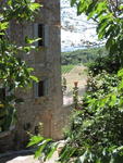 tuscany2007_IMG_1483