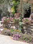 tuscany2007_IMG_1490