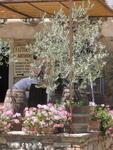 tuscany2007_IMG_1491