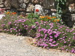 tuscany2007_IMG_1492