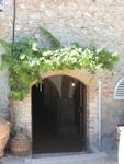 tuscany2007_IMG_1505