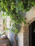 tuscany2007_IMG_1508