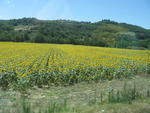 tuscany2007_IMG_1509