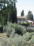 tuscany2007_IMG_1514