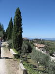 tuscany2007_IMG_1517
